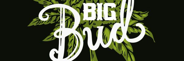 BIGQBUDS Profile Banner