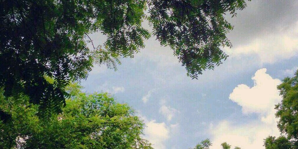 ki8008ki's profile banner image