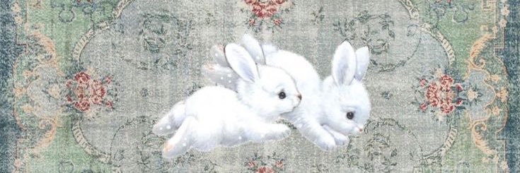 NoiseDyy's profile banner image