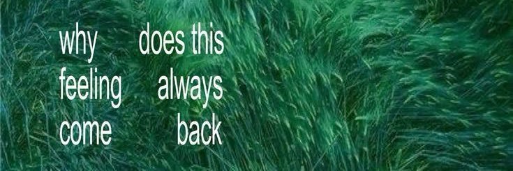t banner