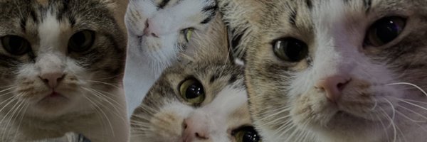 nengmolen Profile Banner