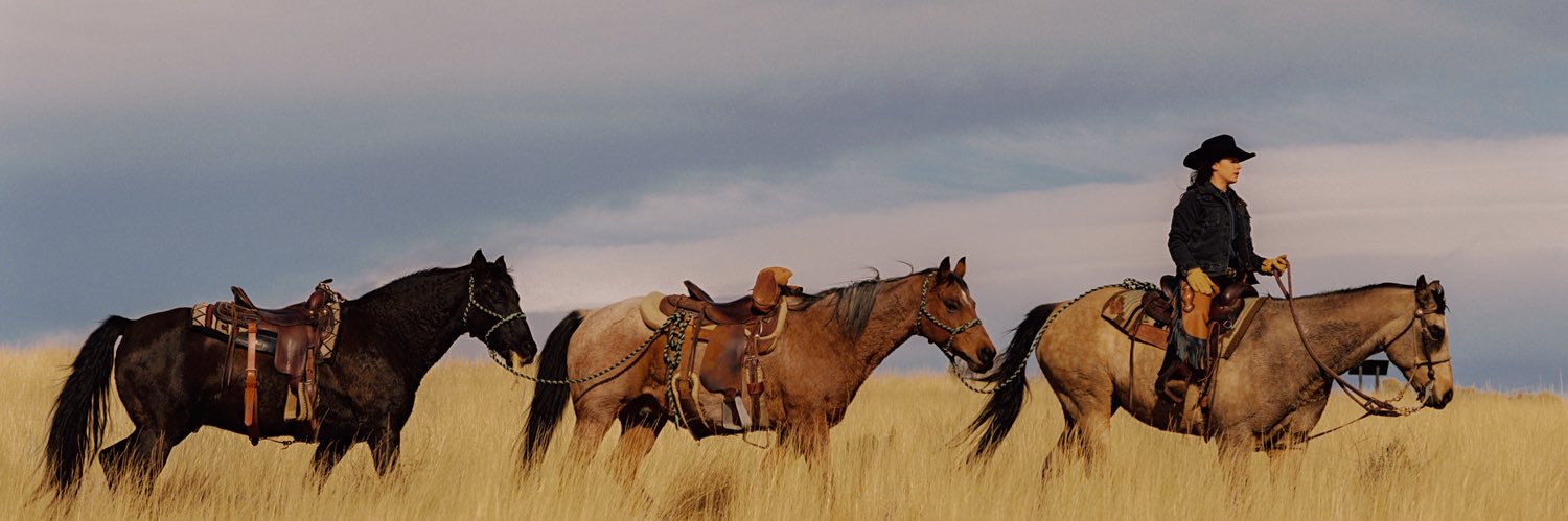 Emily Compagno banner