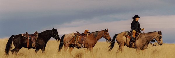 EmilyCompagno Profile Banner