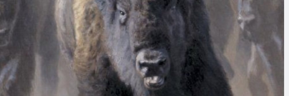MikeMike58894's profile banner image