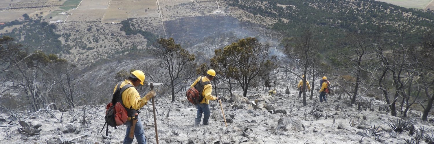 PROFAUNA, A.C. banner