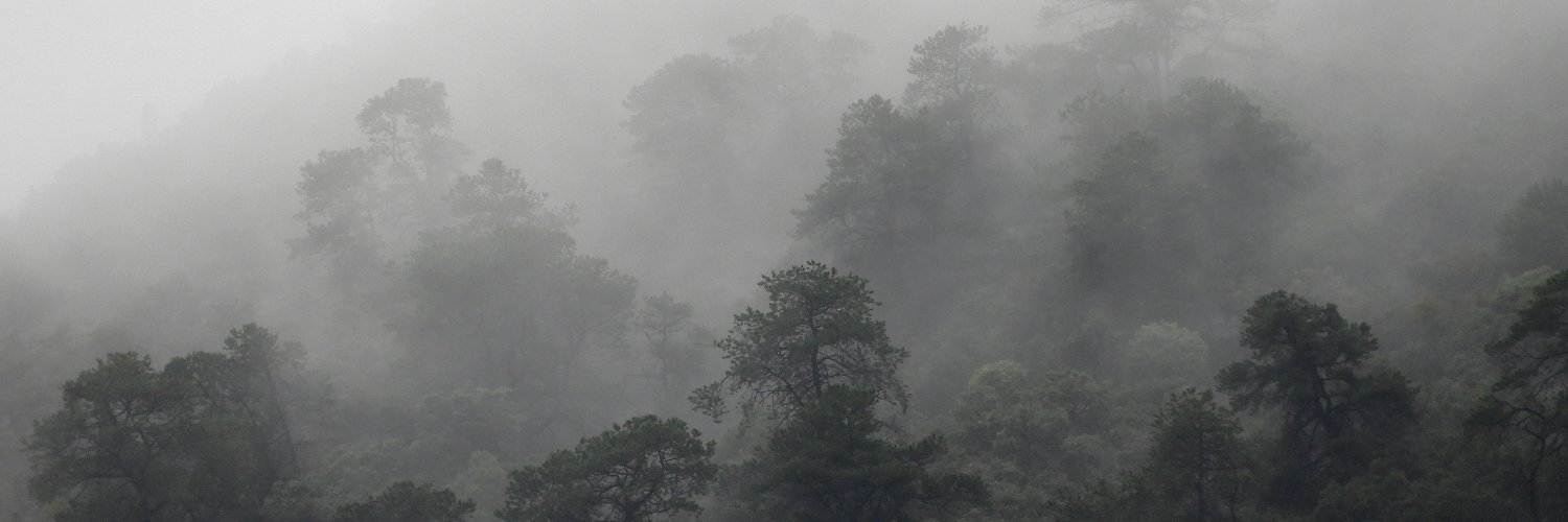 Profauna_Mexico's profile banner image