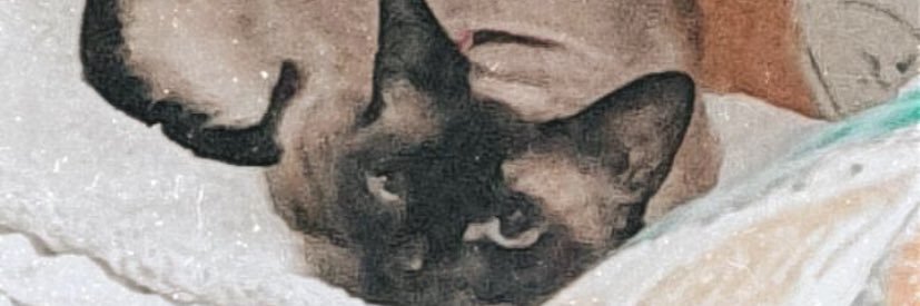 Alexabs07's profile banner image
