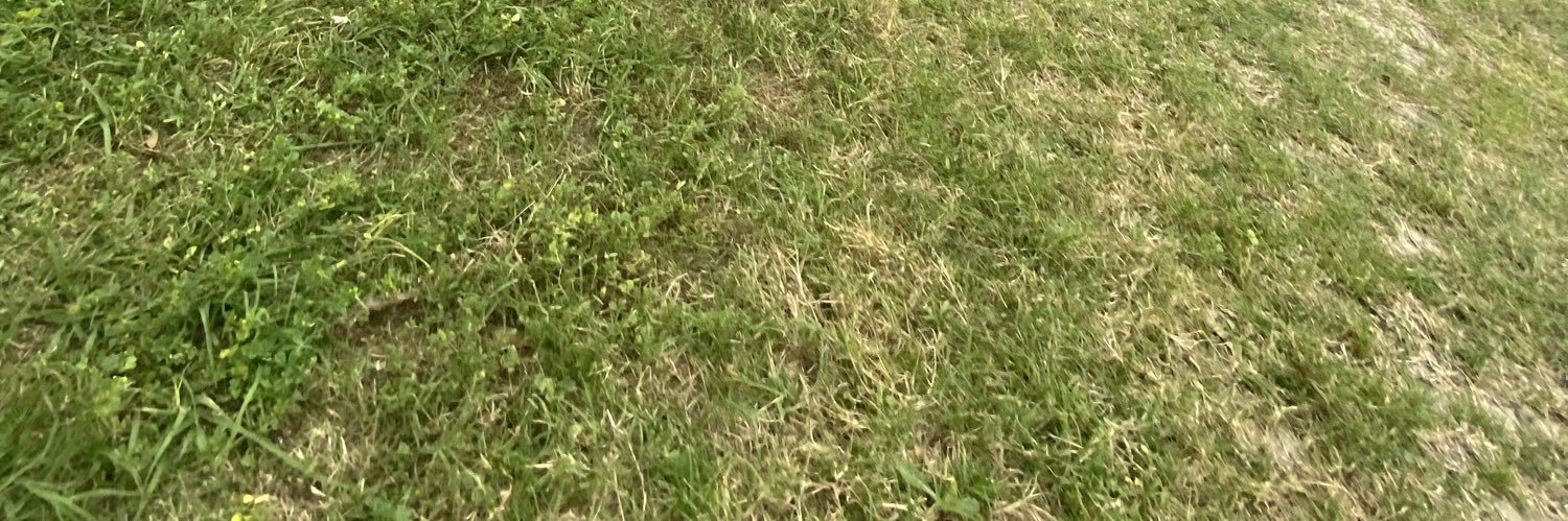 David okunoye banner