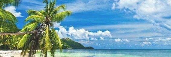 Michael 🇨🇦 banner