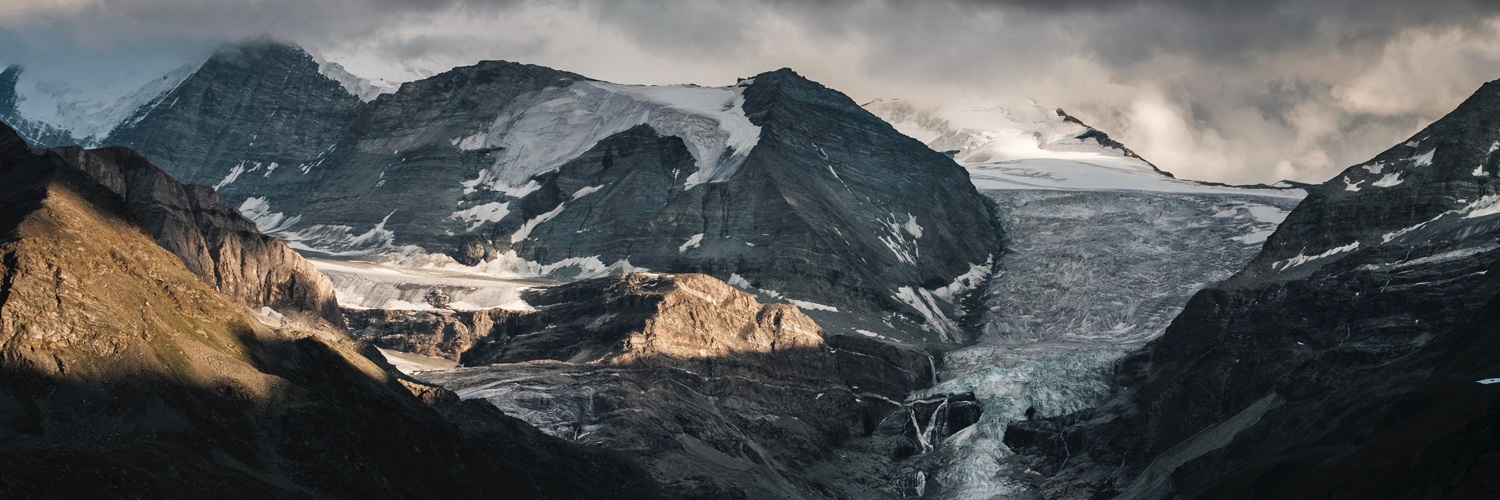 GoBros.com 🧦 Sock Experts banner