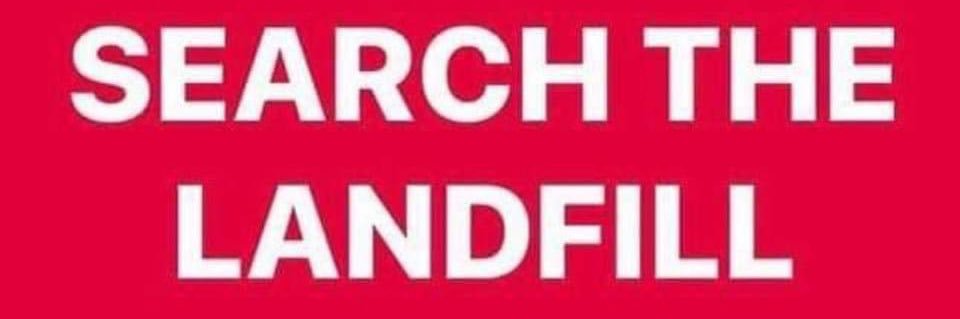 Dawn Sands banner