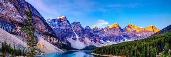 Daniel Loreson,SJD banner