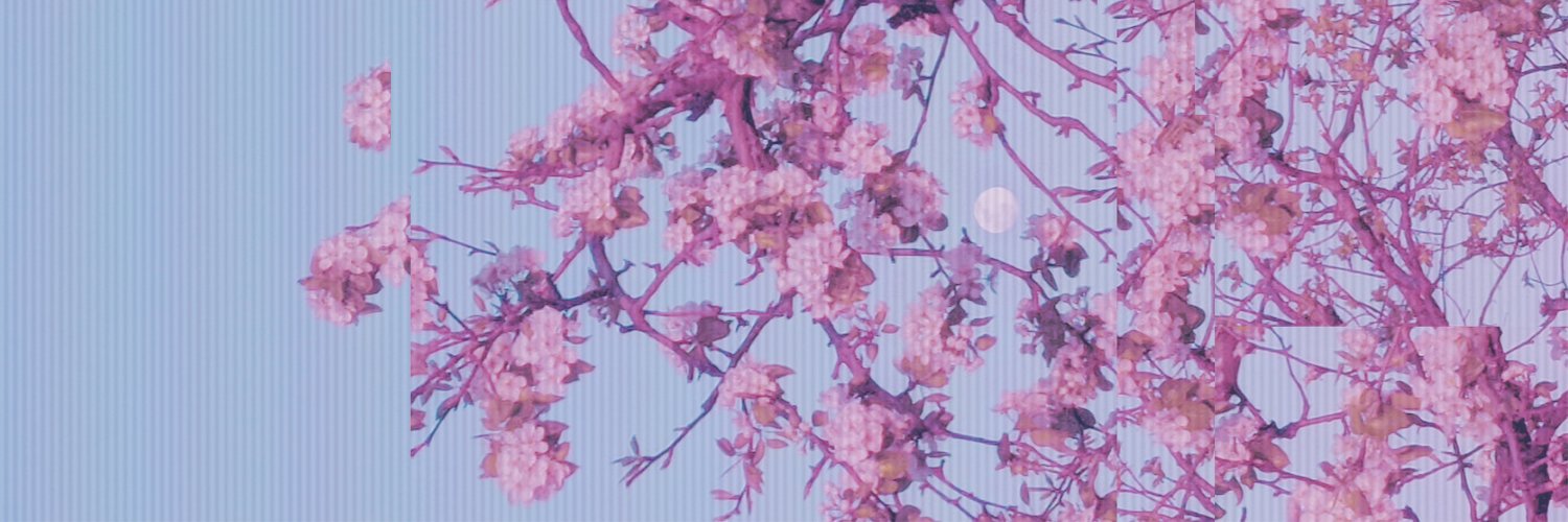 XPXOhXD's profile banner image