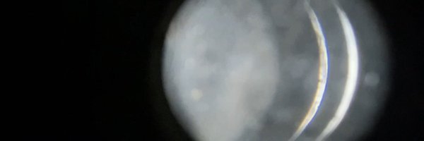 honahum_ Profile Banner