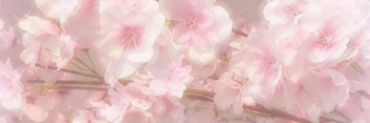 MissSecretSaint's profile banner image