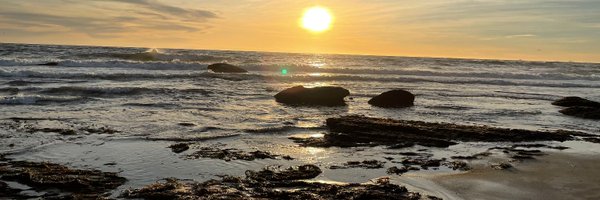 jenatemple Profile Banner