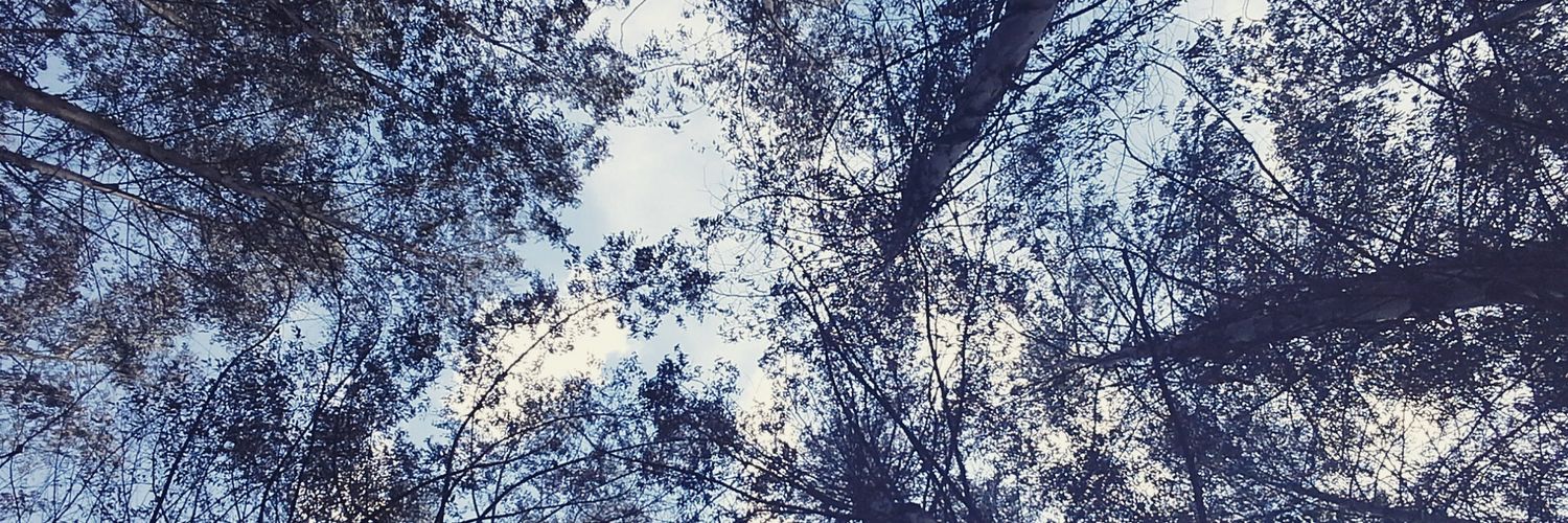 rmatusheim's profile banner image