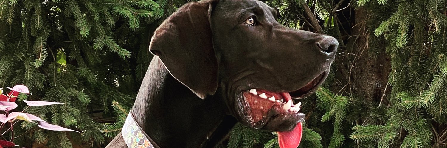 Kenneth R. Kline banner