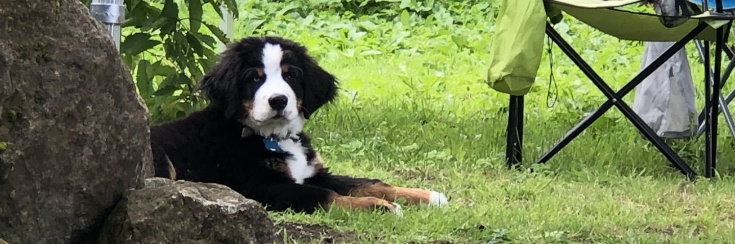 sallym695's profile banner image