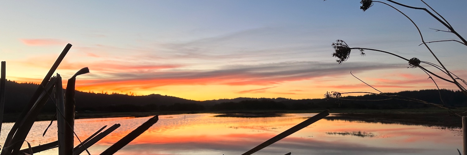 Seth Grammer banner