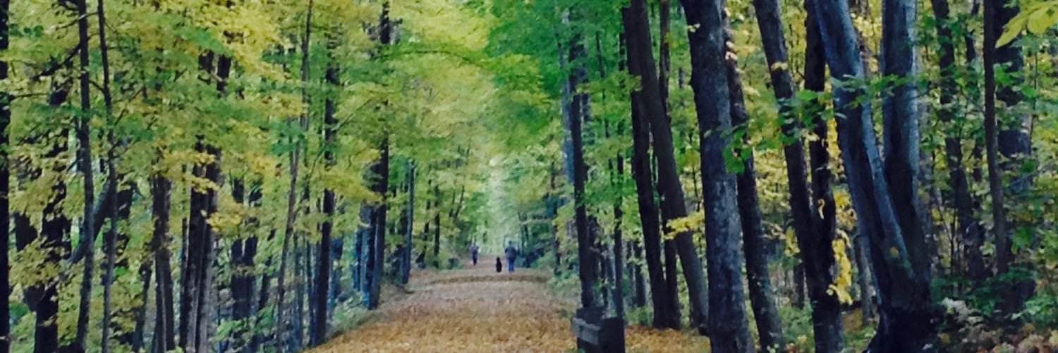AliWeigle's profile banner image