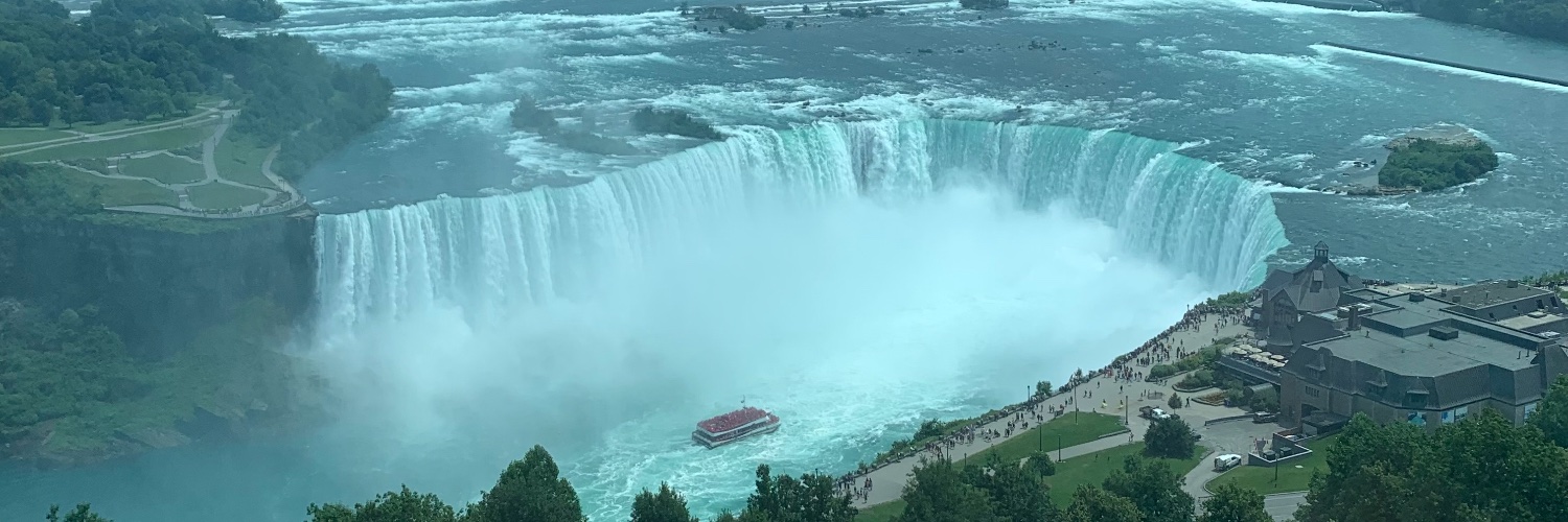 Roger Parisee banner