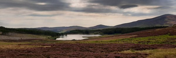 louisa_pollock1 Profile Banner