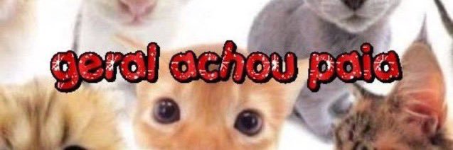 bekinha ‎🦢 banner