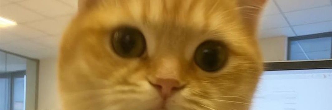 donbulu02's profile banner image