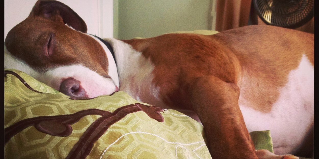 Sarah Huffstetler banner