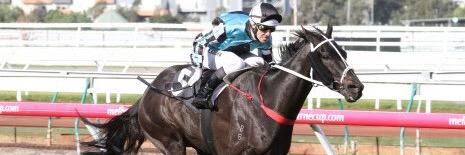 Grand Parkview stud banner