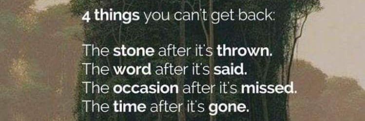 Stephanie Arscott banner