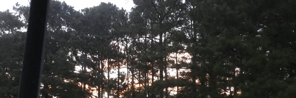 Mark-Anthony Karantabias banner