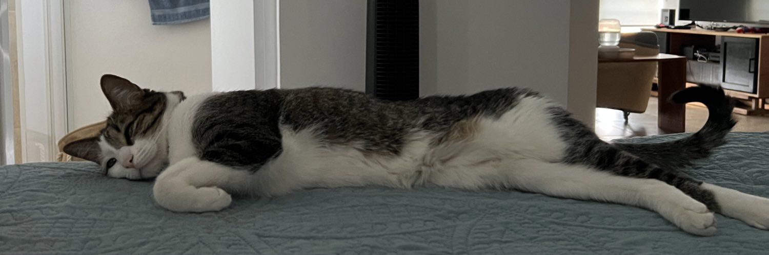 pilysantander's profile banner image