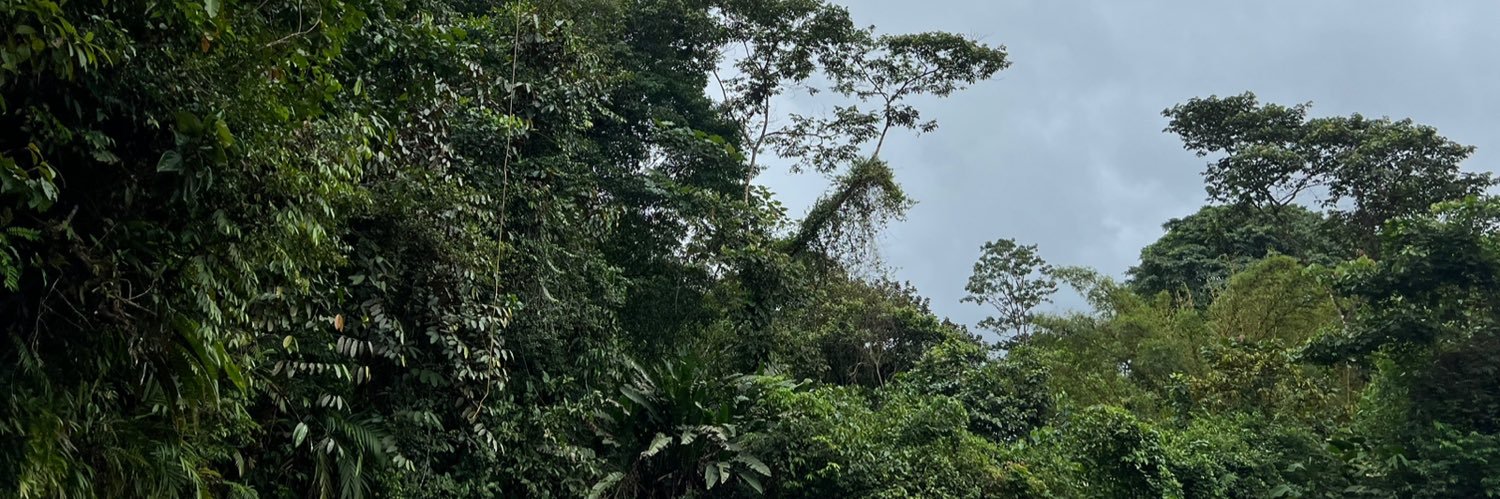 colomborkrdz's profile banner image