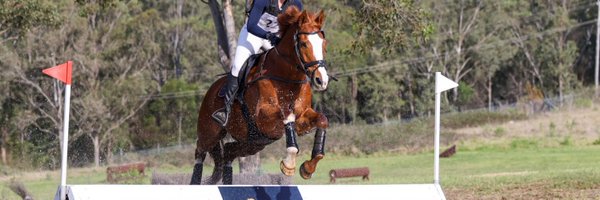 Equimillion_ Profile Banner