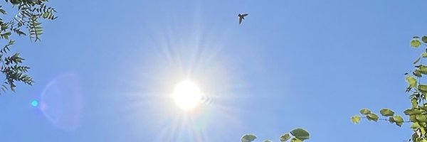 AletaValiant Profile Banner