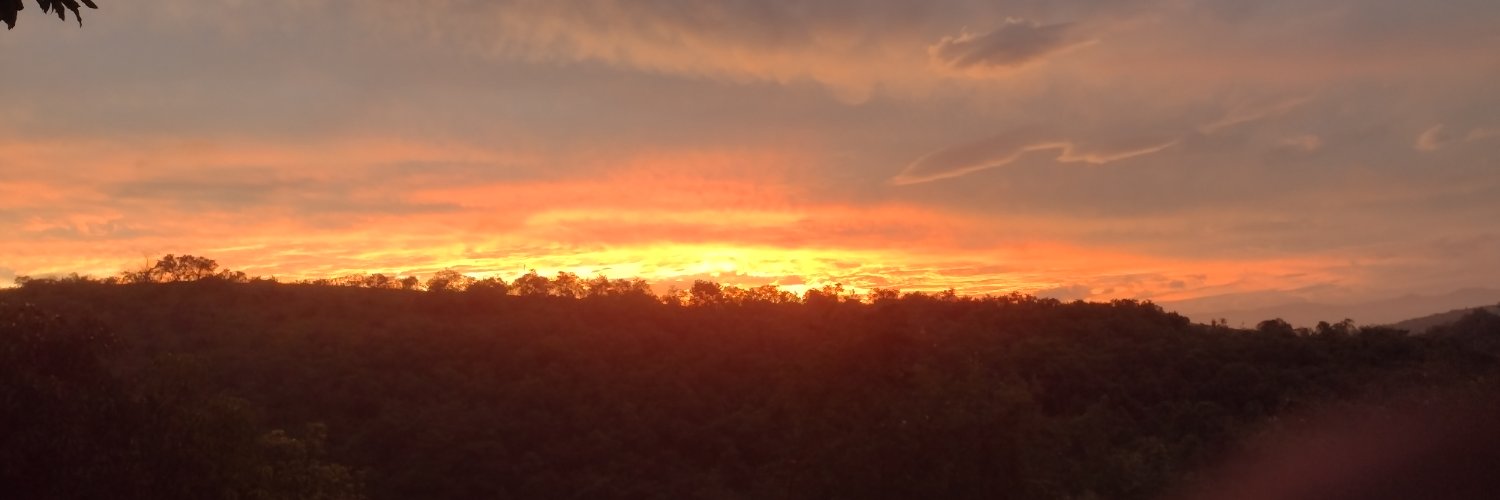 Rodrigo Cardoso banner