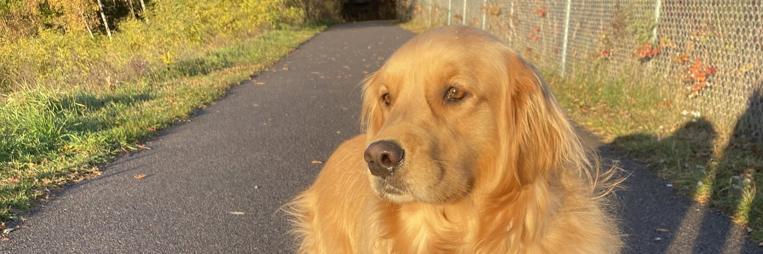 Notes 🇨🇦🇮🇹 banner