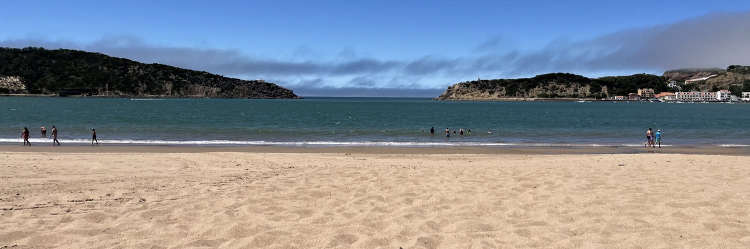 Amy Burchell 💙 banner