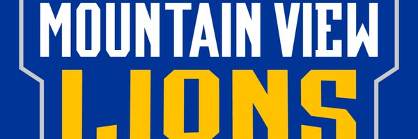 DCMVLions Profile Banner