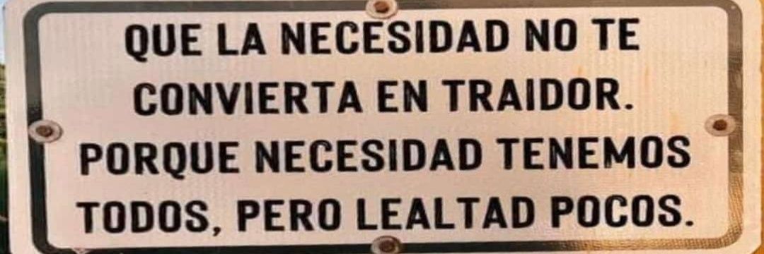 𝕷𝖎𝖓𝖉𝖆 𝕽𝖚𝖎𝖟 💮🌸🌷🌺 banner