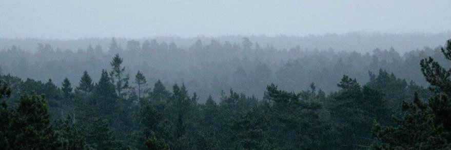 404_III_'s profile banner image
