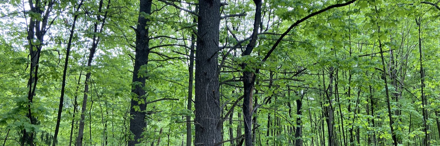 Meaghan Samuel banner