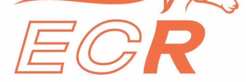 Save Horse Racing banner