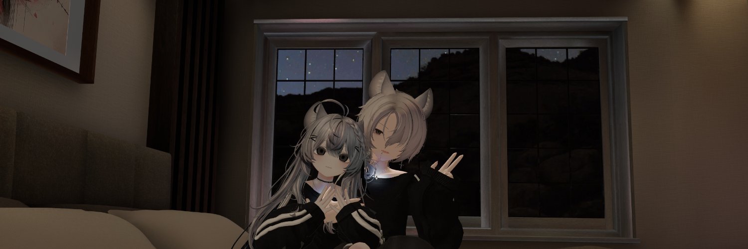 CoroLapi's profile banner image