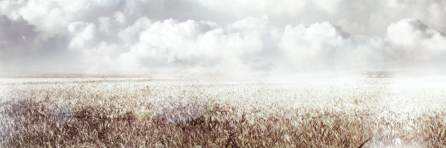 JillTirone's profile banner image