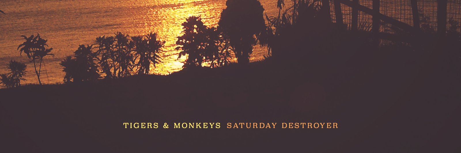 tigersmonkeys's profile banner image