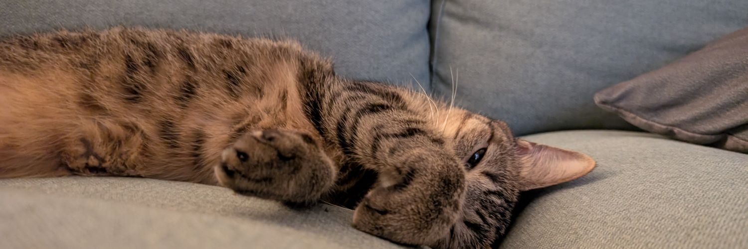 EdwardChu71's profile banner image