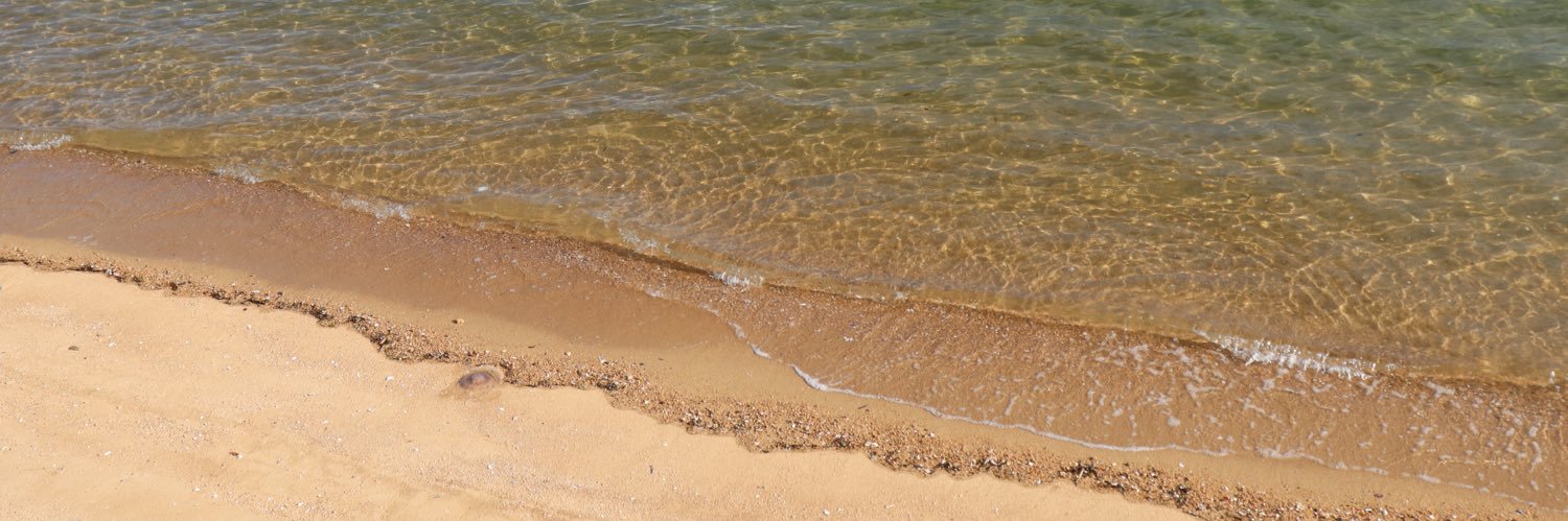 アラクノイド banner